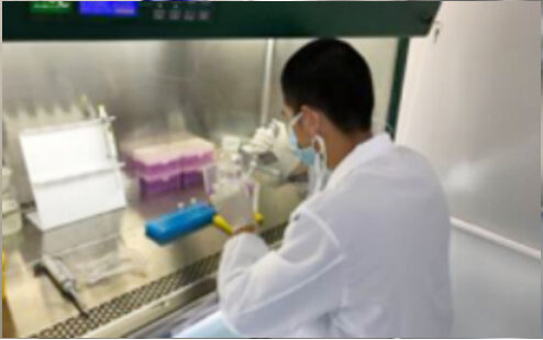 Scientist working at a clean bench